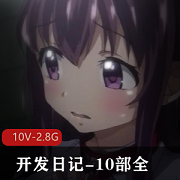 岛国阿黑颜神作-开发日记-10部全系列汉化合集，2.8G视频大小，女主娜美惊艳登场，教育道具剧情引人入胜