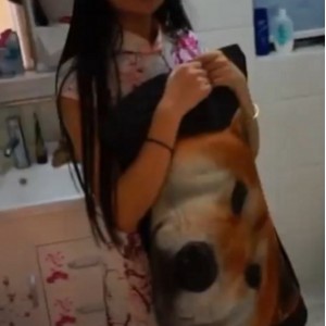 女王丝袜牛奶圣水食物指教8v+3.3g百度盘