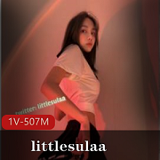 littlesulaa:一线系列颜值身材,反差婊玩法,花里胡哨视频507MB百度云下载