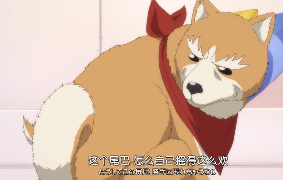 织田肉桂信长：日本动漫高清中字版珍藏推荐