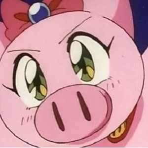 飞天少女猪动漫珍藏版全51集