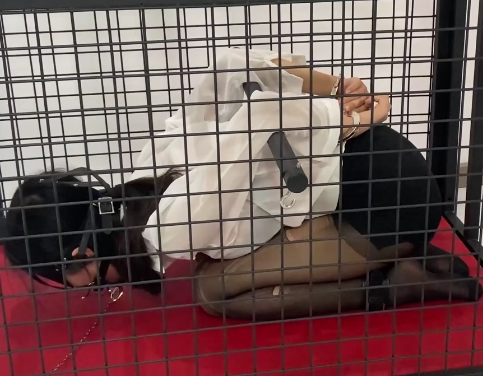 港台网红《涵涵》特辑