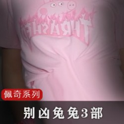 精选别凶兔兔3部