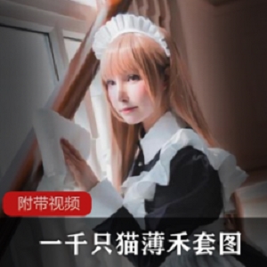 精选一千只猫薄禾四套写真