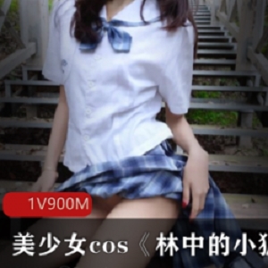 精选美少女cos《林中的小狐仙》百度云
