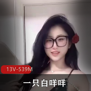 快手粉主播定制舞一只白咩咩最新合集13V539M，车灯舞蹈自拍