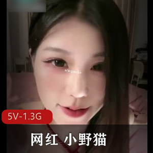网红快手小野猫无敌身材最新合集5V1.3G，直播道具秀