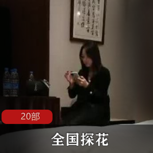 全国探花20部合集88V120G，优质小姐姐互动技巧分享