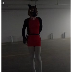 满月之夜劲爆视频合集12部17.9G珍藏版