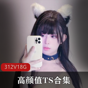 OnlyFansTS热辣自拍312部18.4G颜值惊人