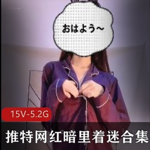 暗里着迷某推珍藏15V合集5.2G绝密展示