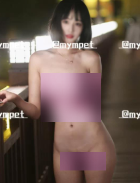 推特mympet互动指教133部合集3.6G私房珍藏版