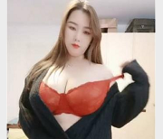 宅男圈疯传李露肉感坦克优质17V17.1G合集