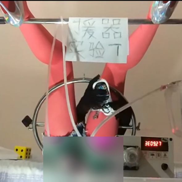 推特援器学会SM5部1.2G太感觉了