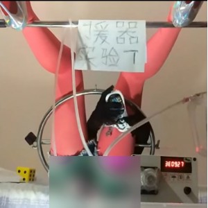 推特援器学会SM5部1.2G太感觉了
